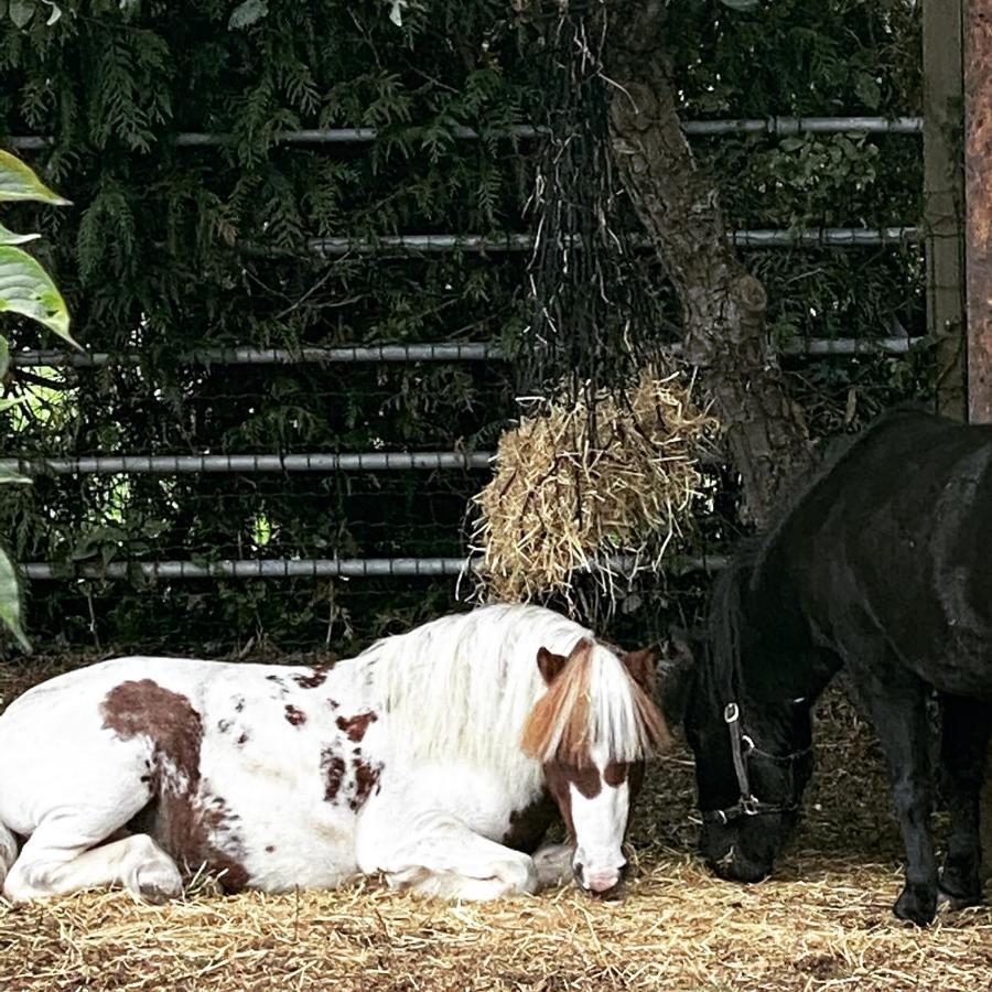 The Stable Annexe & Spa Dogdyke Eksteriør billede